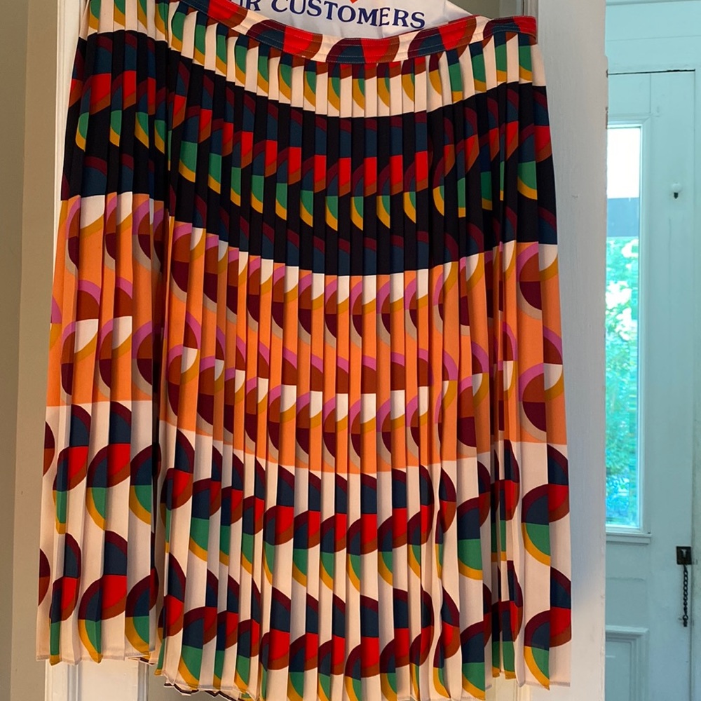 Beautiful and vibrant pleated skirt